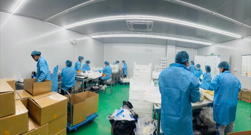 系统集成开发：优势与劣势对比