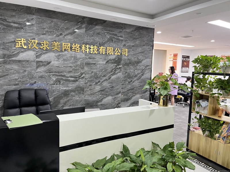 未来趋势：系统集成开发的优势与挑战